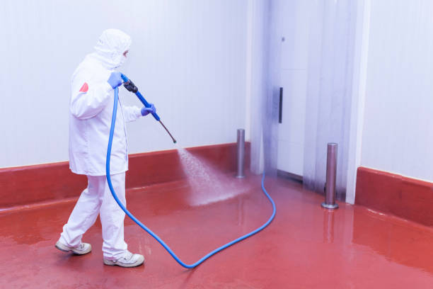 Gowanda, NY Pressure Washing Pros